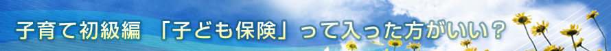 「子ども保険」って入った方がいい？