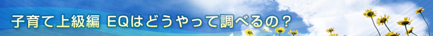 EQはどうやって調べるの？