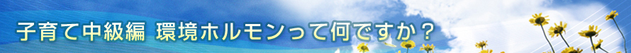 環境ホルモンって何ですか？