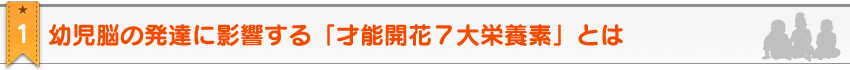 教材のポイント1。幼児脳の発達に影響する「才能開花７大栄養素」とは？　そして、それを与えることが出来る幼児教育教材とは？